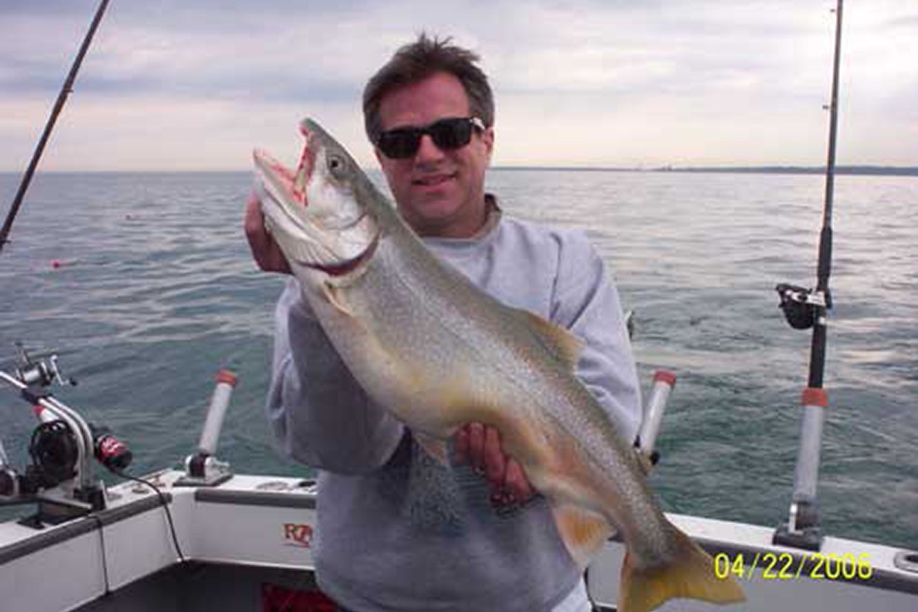 lake michigan lake trout